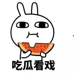 娱乐吃瓜酱不懂就问,不懂就问,揭秘娱乐圈那些事儿