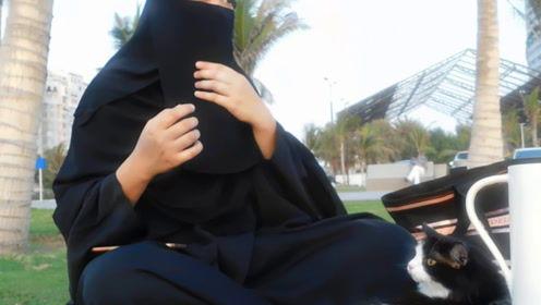 娱乐吃瓜君虐猫,道德底线何在?